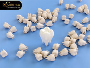 trong-rang-ham-gia-bao-nhieu-tien-bang-gia-trong-rang-tai-nha-khoa